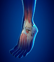 Foot & Ankle injuries